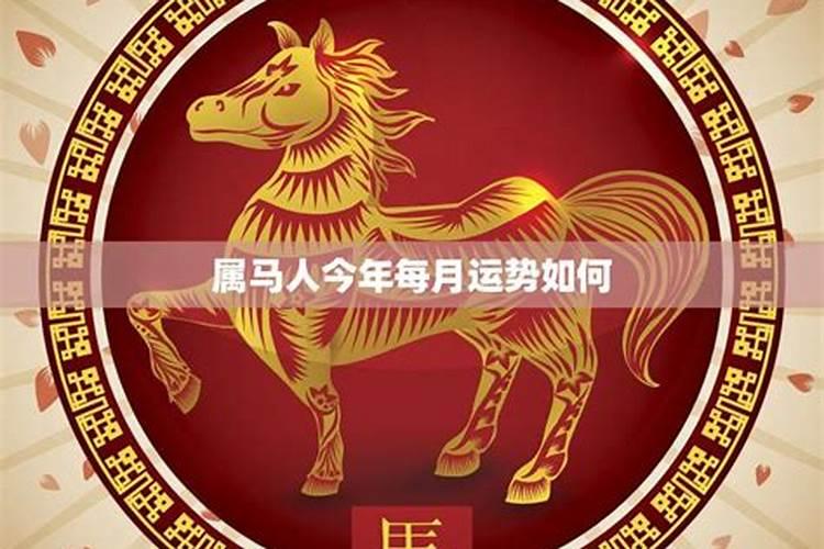 马到功成比喻什么生肖|实用释义解释落实