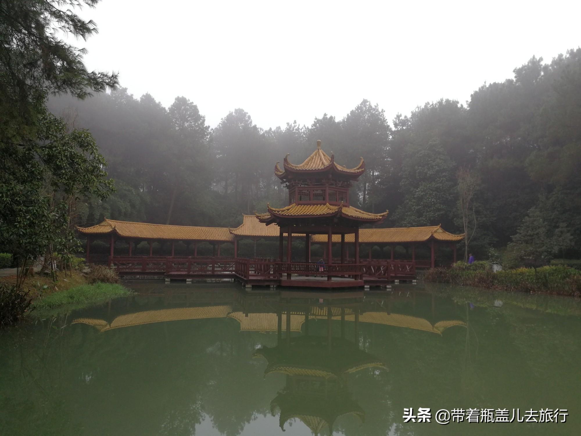 一五楼台前看水，蓝天明月照郎来。打一精准生肖动物|全面释义解释落实