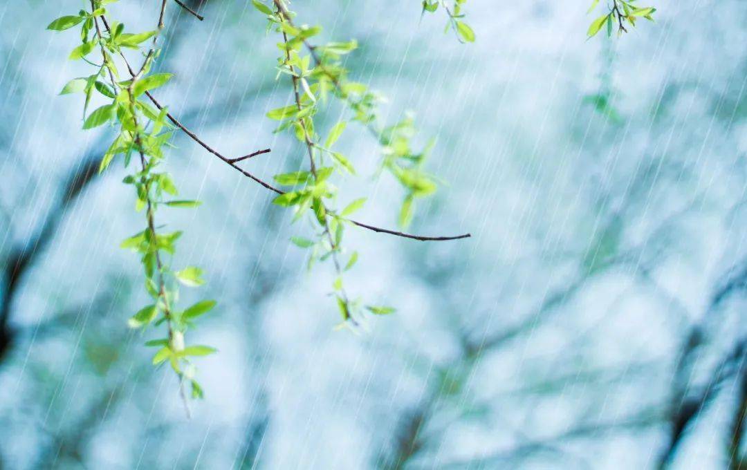 枝上红花四处飞梅雨时节三月春是什么生肖|全面贯彻解释落实