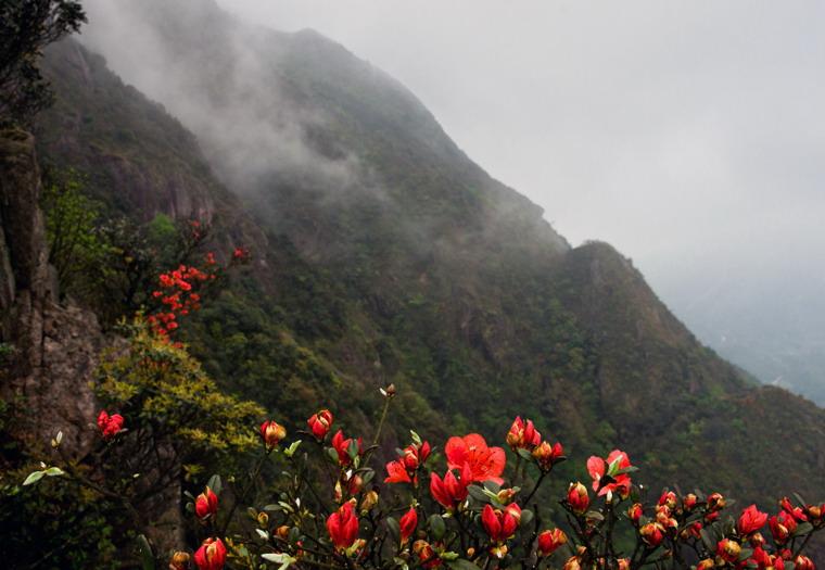 广东省高山排名